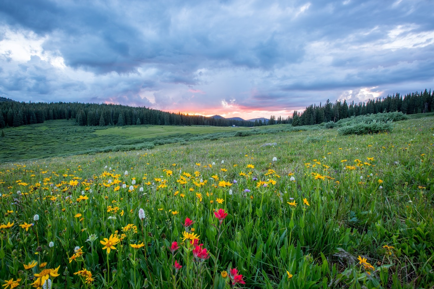 Budget-Friendly Travel Tips for Any Wanderer